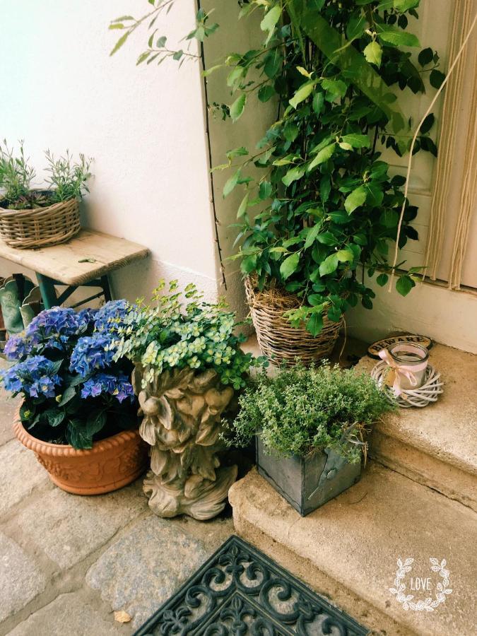 Gute Stube Apartment Weiden am See Exterior photo